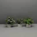 Mkono 3 Pack Fake Potted Plants in Ceramic Pot, Artificial Eucalyptus Plants for Home Decor Indoor Faux Green Greenery for Desk Shelf Coffee Centerpiece Bathroom Office Decor