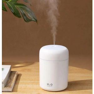 Portable Mini Humidifier, Colorful, Cool Mist, USB Powered. Perfect for Bedroom, Office & Car (300ml, White)