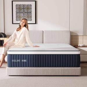 Queen Mattress, DIGLANT 14Inch Euro Top Memory Foam Hybrid Mattress, Medium Plush Feel Pocket Springs Queen Size Mattress for Pressure Relief, Edge Support Mattress in Box, CertiPUR-US, 60"*80" (Blue & white)