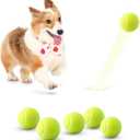 5 Pack Mini Tennis Balls for Pet Playing Fecth, 2 inch Dogs Training Tennis Balls for Small Size Dogs, Interactive Dog Playing Balls Fits 2 inch Dog Ball Launchers