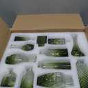 12pcs Glass Bud Vase Set, Small Green Flower Vases for Centerpieces in Bulk, Mini Vintage Vase for Wedding, Home,Table Decoration