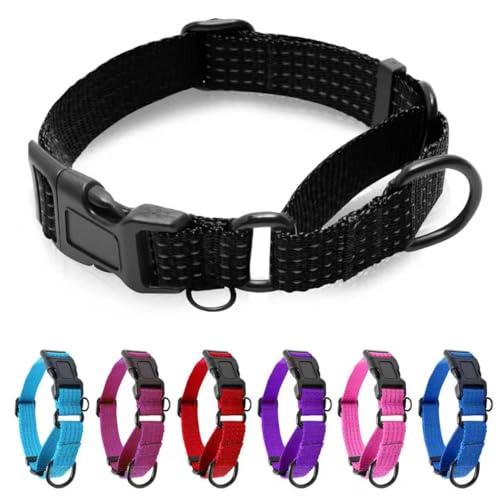 JOOCPUP Martingale Collar for Dogs, Adjustable Soft Nylon Dog Collars with Special Design Cute Patterns (Black, L (1" x 19"-26"))