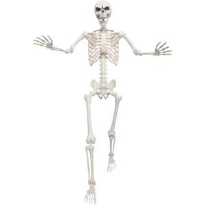 Lodou 5.4ft/165cm Life Size Skeleton,Giant Skeleton Full Body Realistic Bones with Movable Joints for Halloween Decorations Outdoor (Gray, 5.4Ft) Lodou 5.4ft/165cm Life Size Skeleton,Giant Skeleton Full Body Realistic Bones with Movable Joints for Halloween Decorations Outdoor (Gray, 5.4Ft)
