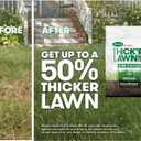 Scotts Turf Builder Thick'R Lawn Tall Fescue Mix - Combination Grass Seed, Lawn Fertilizer and Soil Improver, Thickens Thin Grass, Covers 4,000 sq. ft, 40 lb. (EXP 12/31/36)