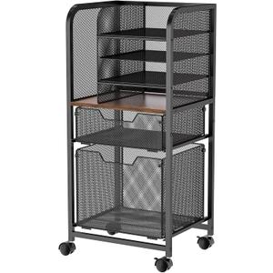 Feyejade 6-Tier Rolling File Cart with 2 Drawers, File Cabinet Organizer for Hanging File Folders, Letter-Size File Storage with Wheels, Multi-Layer Mobile Filing Cabinet for Office and Home (Black)