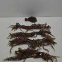 Light Brown Bundles Color 30 Brown Kinky Curly Bundles Human Hair 12 14 16 inch Brazilian Virgin Remy Hair Extensions Double Weft Color 30 Human Hair Weave