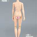 1/6 Scale Female Figure Body, Female Pale Skin Large Bust Half-Seamless Flexible Action Figure Body Doll Collection