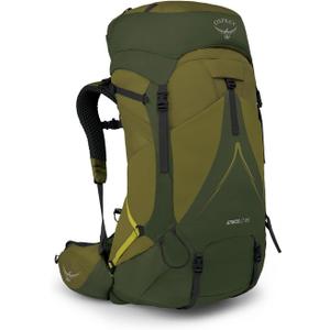 Osprey Atmos AG LT 65L Men's Backpacking Backpack, Scenic Valley/Green Peppercorn, L/XL
