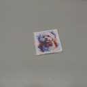 3 x Bichon Frise Magnet 4 Inch 2-Pack Dog  Strong Vinyl Decorative Animal Magnets for Fridge Locker Kitchen Office  Cute Fun Aesthetic Cool Durable & Long-Lasting Souvenir ID44999