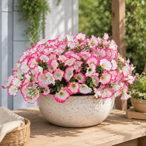 Aisamco Artificial Silk Flowers for Outdoor Decoration,12 Bundles Faux Flowers Colorful Morning Glory with Eucalyptus Fake Plants Greenery UV Resistant for Outside Front Door Planter Porch Patio Yard