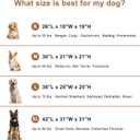 Garnpet 36 Inch Collapsible Soft Dog Crate for Large Dogs, 4-Door Foldable Travel Dog Kennel with Durable Mesh Windows for Indoor & Outdoor Portable Pet Crate, Soft Side Dog Crate, Beige