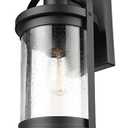 Xavier 1-Light Matte Black Hardwired Outdoor Indoor Wall Lantern Sconce with Seeded Glass Shade