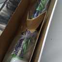 Grand Slam Set- Graffiti Plastic Bat, David Ortiz Backyard Baseball Set with 3 Balls, 4 Throw Down Bases