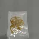 10Pcs Keychain Key Ring with Chain Bulk Split Key Chain,1.1 Inch Key Chains Parts with Open Jump Ring Connector for Jewelry Making Crafts (Gold)