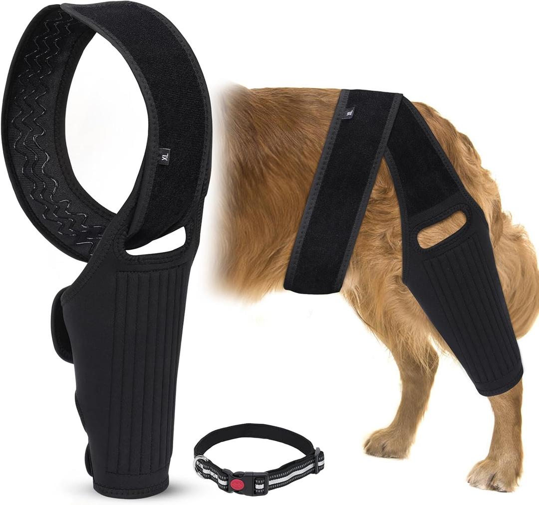 Augot Dog Knee Brace for ACL Hind Leg with Metal Spring Support, ACL Brace for Dogs Rear Leg Tear CCL with Dog Pull Collar, Support for Medium and Large DogsSize XL