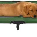 Elevated Dog Bed  36x29.75 Portable Bed for Pets with Non-Slip Feet  Indoor/Outdoor Dog Cot or Puppy Bed for Pets up to 80lbs by Petmaker (Green)