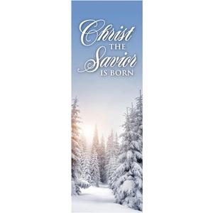 Christian Brands Christmas Banner – “Christ the Savior Is Born” Church Banner, 2' x 6'
