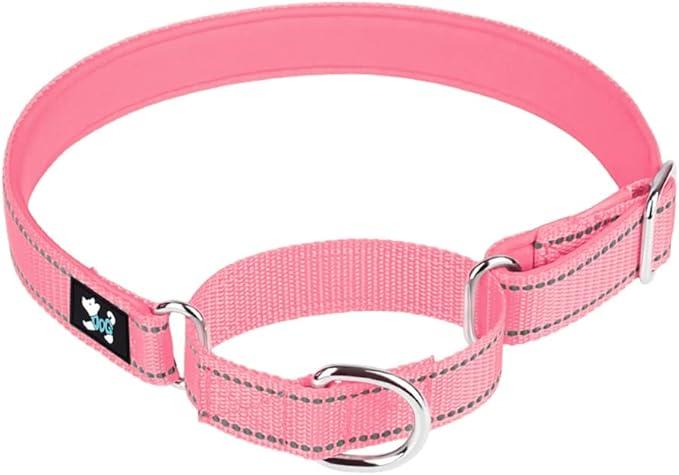 Serijoars Martingale Heavy Duty Nylon Dog Collar (L, Red) and Pimaodog Martingale Dog Collar (M, Pink)