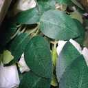 TELDRASSIL 4Pcs(26 FT) Artificial Rose Vine Fake Flower Garland Fake Silk Rose Hanging Vine for Wedding Party Background Arch Garden Background Decoration (White)