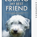 Losing My Best Friend: Thoughtful support for those affected by dog bereavement or pet loss