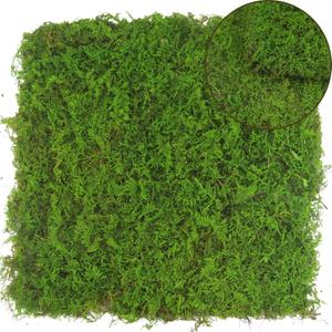 2 Pcs Preserved Sheet Moss for Potted Plants 2 sq.ft. Dried Natural Preserved Moss Mat Green Moss Sheets for Planters Crafts Woodland Decor Garden Party Decorations Wall Art DIY Project Green