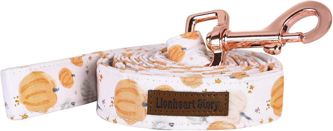 Lionheart glory Halloween Strong Dog Leash, Durable Dog leashes with Soft Handle for Walking Training Small Male or Female Dogs (Small (Pack of 1)