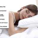 Crown Collection Silver Solid Free Size Pillow Shams Set of 2 - Hypoallergenic 500-TC 100% Egyptian Cotton Decorative Tailored Poplin Pillow Cover (Silver, Emperor/Oversize 20'' x 40'') (King / Cal-king 20x40")