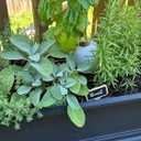 Plant Self Watering Globes - Terracotta Watering Spikes - Slow Release Olla Pots - Holds 14 oz - Drip Irrigation Olla System
