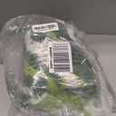 NOTASA Kids Rug Green Leaf Area Rug for Nursery Cute Bath Mat Non Slip Small Preppy Carpet for Bedroom Bathroom Children Playroom Boho Home Decor Washable 2'x2.6'