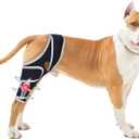 Moysoon Dog Knee Brace for 4 Legs,Adjustable Dog Knee Brace with Reflective Material,Provide Strong Support for Small Medium Large Dogs,Size XXL.