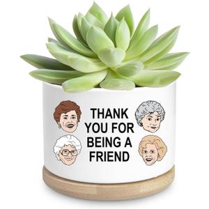 Friend Gifts for Women, Funny Succulent Planter, Flower Cactus Plant Pot, Friendship Gifts for Friend Bestie Sister Birthday, Thank You for Being a Friend Golden Girls Merchandise (Plant Not Included)