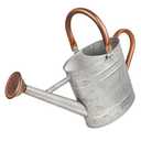 Megawodar 1 Gallon Metal Watering Can with Removable Spout, Nice Galvanized Steel Water Can with Embossed Design for Indoor and Outdoor Plants