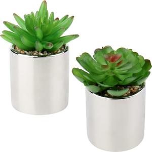 Briful Small Artificial Succulents in Pots Set of 2 Realistic Faux Succulents Plants with Silver Ceramic Pots Cute Mini Fake Plants Decor for Modern Home Table Office Desk Bathroom Shelf Decoration (Style #13)