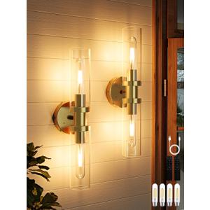 8000mAh Battery Operated Wall Sconce with Remote Control, Gold Rechargeable Wall Sconce with Timer, Dimmable Wireless Sconces Wall Decor Set of 2, Battery Wall Lights for Living Room Bedroom, 3000K (Gold (Clear Lampshades))