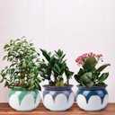 African Violet Pots, 6 Inch Self Watering Pots for Indoor Plants, Easy Plant Self Watering Planter, Ceramic Plant Pot with Absorbent Inner Pot for Flowers - Gradient Blue (No Plants)