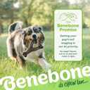 Benebone Wishbone Durable Dog Chew Toy for Aggressive Chewers, Real Bacon, Made in USA, Medium