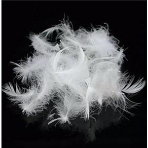 Bulk Goose Down Feather Stuffing & Fill  Hypoallergenic Pillow Filling, Repair, Restuff, Fluff for Couch Cushions, Comforters, Jackets5/95-1Lb DIY