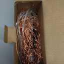 66Ft 200 LED Fairy Lights Plug in, Waterproof String Lights Outdoor & Indoor 8 Modes Christmas Light Bedroom Decor, Timer Twinkle Lights for Girl's Room Garden Party Christmas Decorations (Warm White) (1 Pack(200LED))