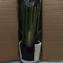 36" IFR Sansevieria Snake Artificial Succulent Plant w/Pot -Green