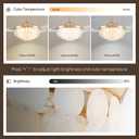 48'' Boho Fandelier Ceiling Fan with Light, Capiz Shell Retractable Ceiling Fan Lights with APP/Remote, Dimmable Coastal Invisible Chandelier Fan with 6 Speeds Wind, Timer for Bedroom Living Room-Gold
