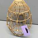 Metal Rattan Woven Egg