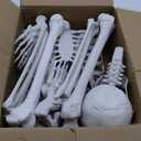 5.4Ft Halloween Skeleton - Life Size Full Body Realistic Human Bones with Posable Joints for Halloween Pose Skeleton Prop Decoration