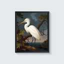 2 x Egret Bird Vintage Poster Art Print Retro Wall Art Poster Decor Nature, Avian Painting Artwork for Bedroom Living room Decor 41 (Egret, 8 x 10 inches, Unframed)