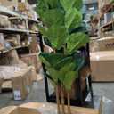 Artificial Fiddle Leaf Fig Tree in Modern White Planter, 5ft
Large Fake Tree with 3 Sturdy Trunks, Fake Plants with Moss, Lifelike Tall Artificial Plants Indoor for Office Home Decor