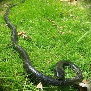 47 Inches Rubber Lifelike Snakes Scary Gag Gift Incredible Creatures Chain Snakes Rain Forest Snake Toys