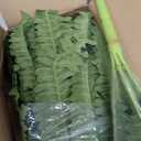 FOREST PRINCE 42" Artificial Boston Fern Large Bush Plants, 2 Bundles of Fake Ferns with 65 Fronds for Outdoors Home Decor