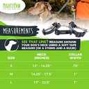 Mighty Paw Martingale Collar with Buckle | Training Dog Collar, Limited Cinch Chain Pet Gear for No Pull Dog Walking. Martingale Dog Collars for Large Dogs, Medium Breeds and Small Pets (Grey)