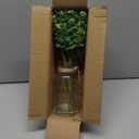 Zheart Fake Eucalyptus Stems in Glass Vase with Faux Water,14" Artificial Plants Eucalyptus Leaves for Shelf Desk Bathroom Farmhouse Room Coffee Table Home Decor (Sage Green)