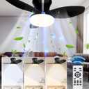 Benss Ceiling Fans With Lights And Remote, 24'' Dimmable Low Profile Ceiling Fan With Light, Socket Fan Light 2000 Lms, 3 Colors 3000K-6500K, Flush Mount, Quiet For Bedroom, Kitchen, Living Room,Black