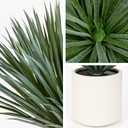 Briful Large Agave Plant Artificial in Resin White Pot, 26.3in Outdoor Fake Agave Plant Realistic Artificial Agave Cactus for Indoor Home Office Garden Front Patio Decor